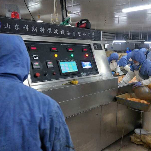 上海非油炸烤鸡排生产线